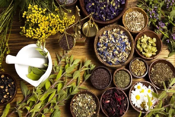 ۶ نکته درباره تداخل مصرف داروها و گیاهان دارویی