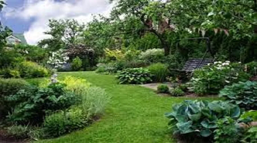زندگی در نزدیکی فضاهای سبز موجب استحکام استخوان ها می شود
