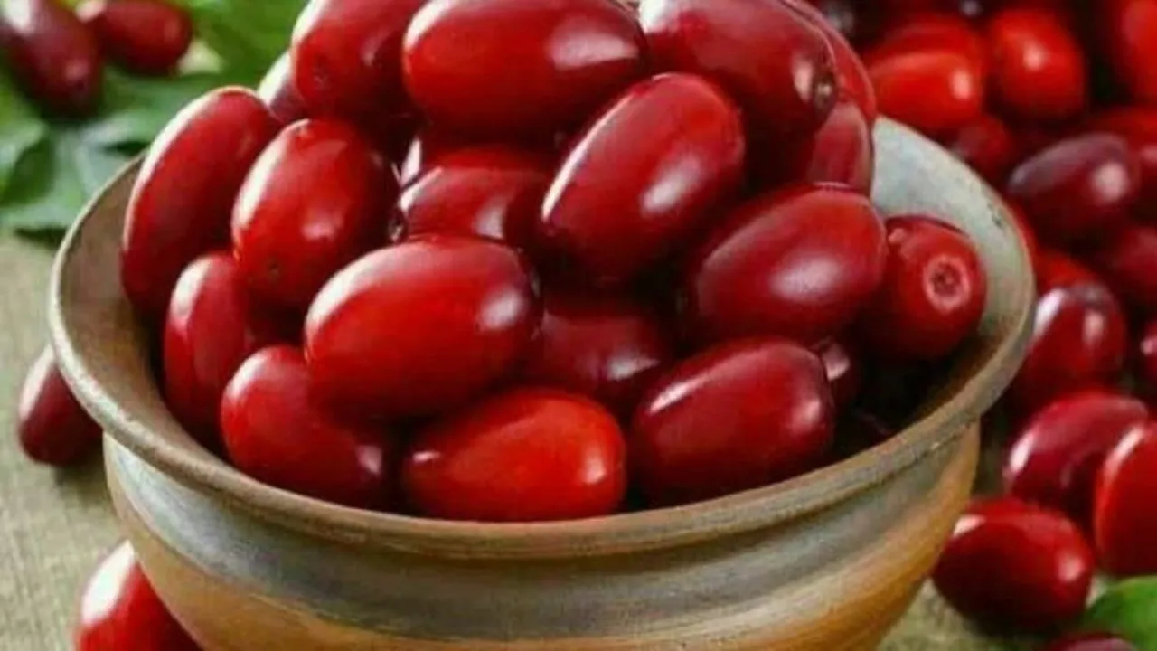 با مصرف این میوه کوچک خوش رنگ از سرطان پیشگیری کنید