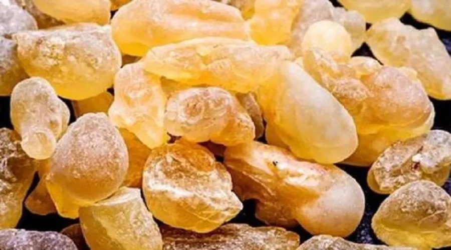 چرا بجای درمان‌های گران قیمت از سقز استفاده نکنیم؟
