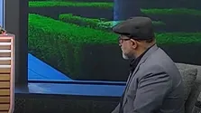 تمر هندی؛ میوه‌ای ترش با فواید شگفت‌انگیز برای سلامت بدن