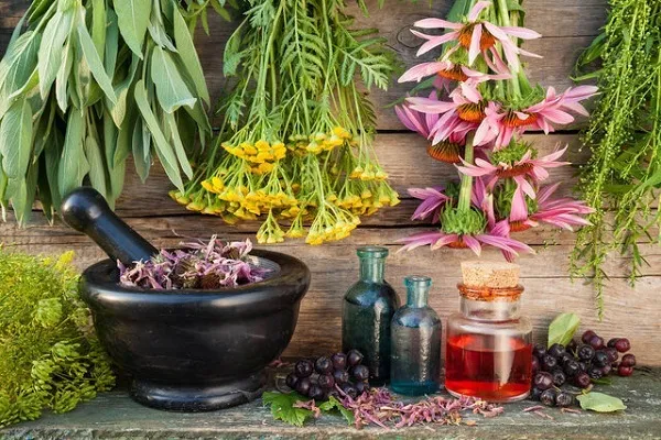 توصیه‌های طب ایرانی برای زمستان / چه کسانی نباید پرتقال و نارنگی بخورند؟