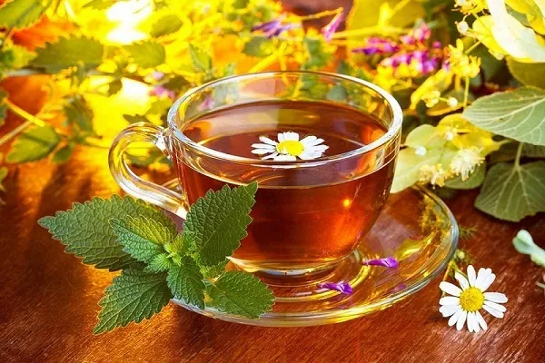 دمنوش کدام گیاهان سرماخوردگی را بهبود می بخشد؟ + فیلم