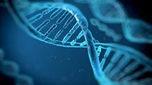 افزایش مجدد نرخ خودکشی در آمریکا در سال ۲۰۲۱
