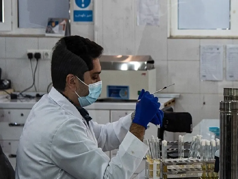 پرداخت حقوق به پژوهشگران دکتری از امسال اجرایی می‌شود