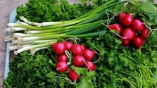 ۹ اشتباه آسیب‌رسان در پخت و پز مواد غذایی