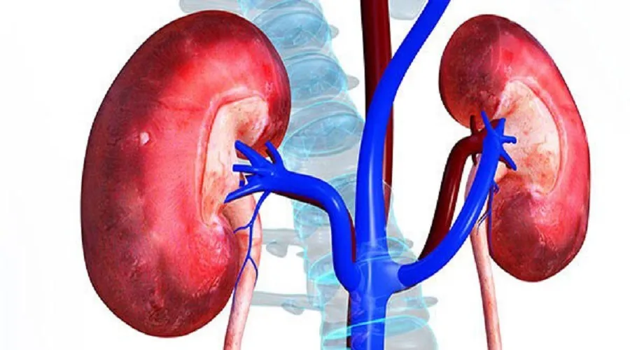 علائم هشدار دهنده مشکلات کلیوی