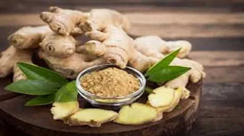 بهترین داروی گیاهی برای جلوگیری از سرطان روده چیست؟