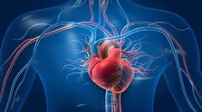 بی خوابی ریسک سکته مغزی را افزایش می دهد