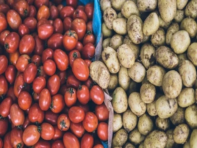 تولید داروی سرطان از گوجه و سیب زمینی