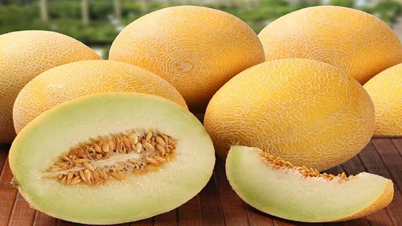 آیا سرطان زا بودن ملون واقعیت دارد؟