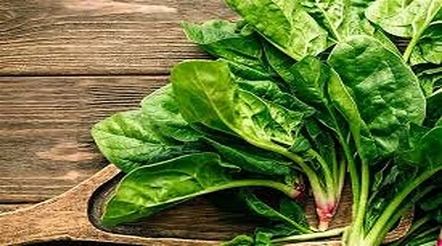 خواص دارویی و درمانی این سبزی را بشناسید
