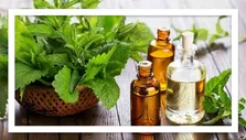 مصرف مغزیجات آجیلی به تقویت حافظه در سنین بالا کمک می کند