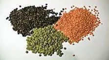 این مواد غذایی آنتی بیوتیک‌های طبیعی هستند