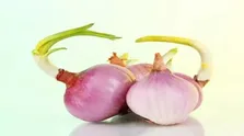 این مواد غذایی آلرژی بهاری را کاهش می‌دهد