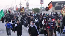 معرفی ۳ دمنوش انرژی‌زا و موثر برای سلامت قلب و مغز + فیلم