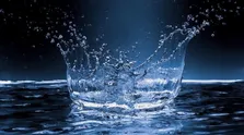 شکر این ماده سفید خوشمزه چه بلایی سر شما می آورد؟
