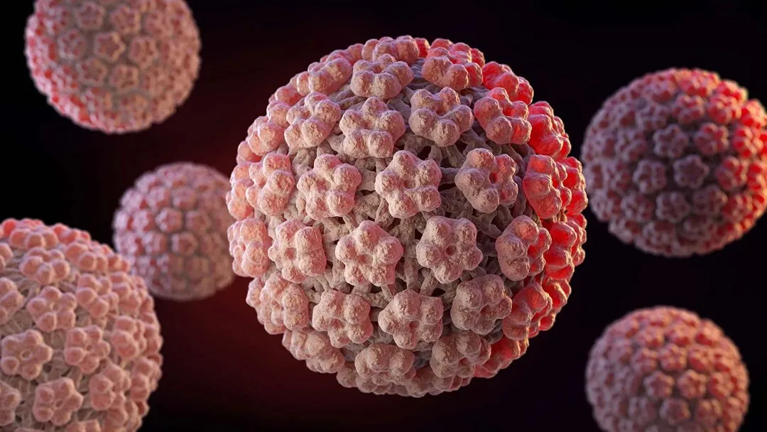 ارتباط HPV و سرطان پروستات