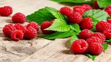 معرفی ۳ دمنوش انرژی‌زا و موثر برای سلامت قلب و مغز + فیلم