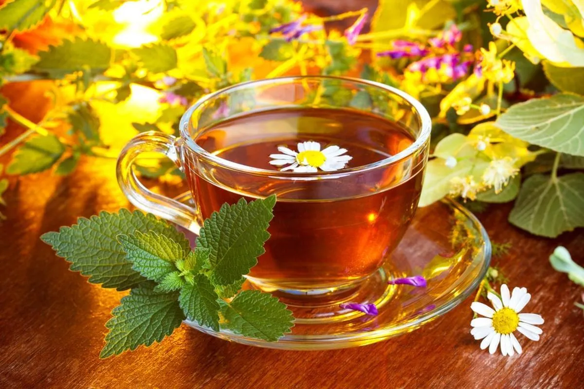 با این سه دمنوش لرزش دست‌هایتان را از بین ببرید