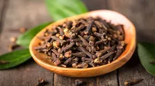 در حکمرانی غذا خوب عمل نمی کنیم/ مولفه های امنیت غذایی