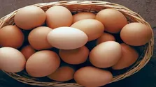 میوه‌هایی که بیشترین میزان آهن را دارند