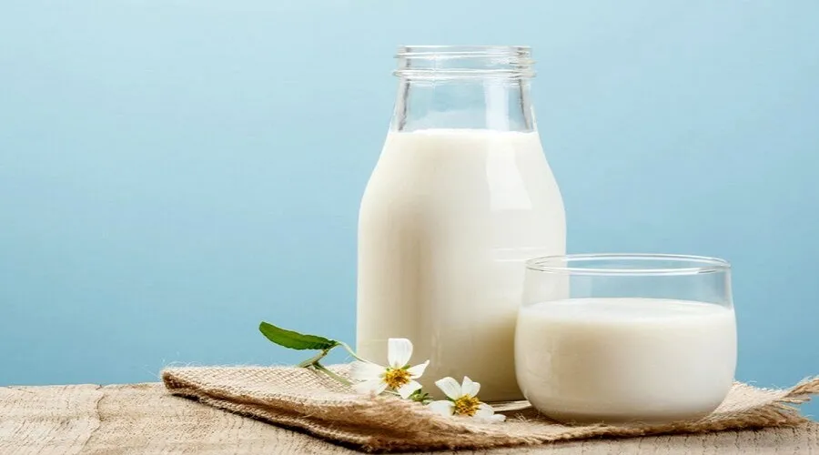 افزایش خطر ابتلا به سرطان پروستات با استفاده از شیر