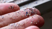 چرا بسیاری از افراد سبزی مصرف نمی‌کنند؟