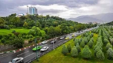 ۱۱ آلاینده بیماری‌زای مخفی در خانه