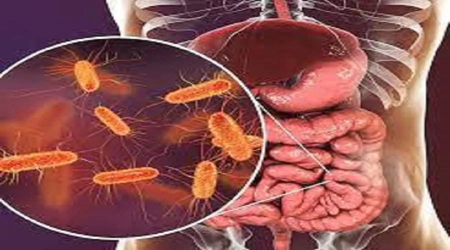 باکتری‌های روده بر سلامت قلب تأثیر می‌گذارند