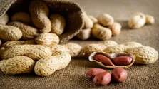 آیا رژیم غذایی بر آلرژی فصلی تأثیر می گذارد؟