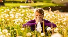 وظایف سازمان غذا و دارو در نظارت بر کالاهای سلامت‌محور