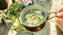 دوغ؛ بهترین نوشیدنی برای فصل گرما