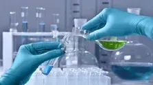 کدام آجیل چربی‌سوزی ورزش را افزایش می‌دهد؟