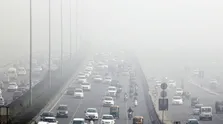سطح تحصیلات عالی خطر ژنتیکی آلزایمر را تعدیل می کند