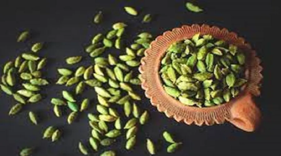 توصیه‌های طب سنتی برای مصرف صحیح هل