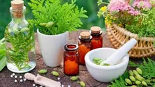 بهترین گیاهان دارویی برای مقابله با سرفه، آلرژی و مشکلات معده + فیلم