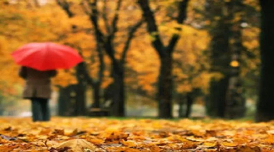 چگونه تغییر خلق‌وخو در فصل سرما را مدیریت کنیم؟