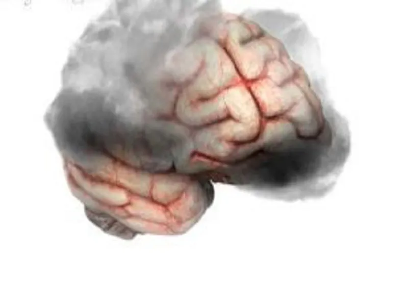 روغن کریل از مغز در مقابل پیری محافظت می کند