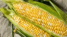 آیا ویتامین‌ها هم تاریخشان می‌گذرد؟