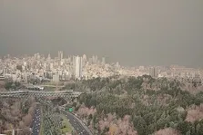اهمیت مصرف امگا ۳ و پروتئین در هوای آلوده