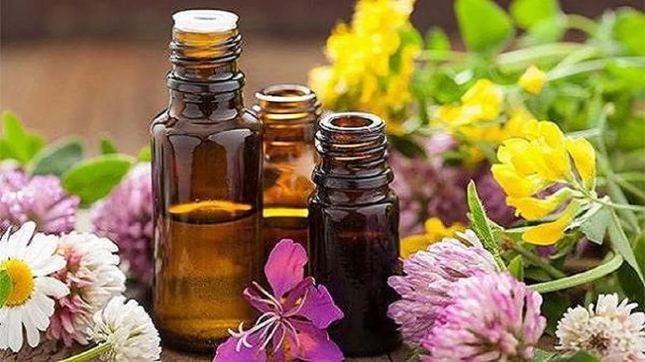 با مصرف این روغن‌ها پیر نمی‌شوید