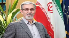 ارتباط فتالات‌ها با مرگ و میر ناشی از بیماری‌های قلبی در سطح جهان