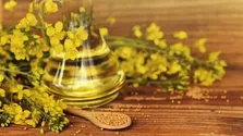 ۹ خوراکی که نباید صبح‌ها بخورید