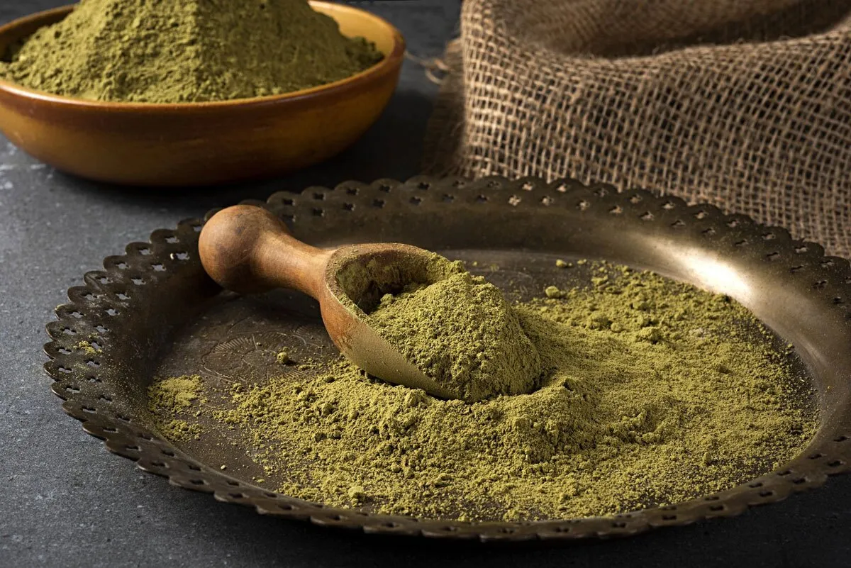 خواص فوق العاده خوردن پودر حنا برای سنگ کلیه و کبد