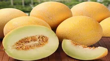 اضافه وزن خطر ابتلا به سرطان پروستات در آقایان را افزایش می‌دهد