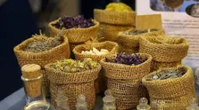 مهاجرت شرکت های داروسازی از ایران به ترکیه