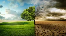 هشدار؛ سن ابتلا به آلزایمر به ۴۹ سالگی رسیده است