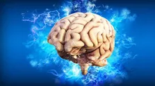خطر گرما بیشتر کدام مناطق جهان را تهدید می‌کند؟