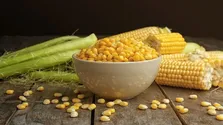 کاهش مواد مغذی در سبزیجات و میوه جات